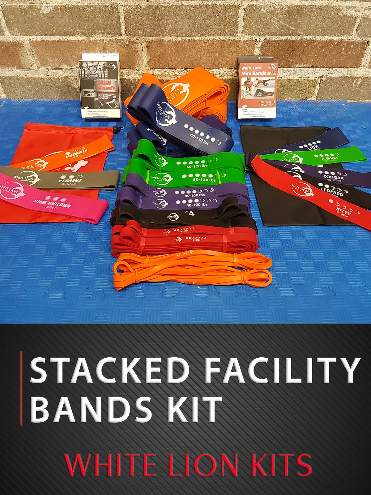 Resistance Bands Kit: Stacked Facility| All the Bands We Have!!